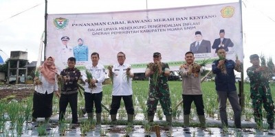 Kendalikan Inflasi, Pj. Bupati Luncurkan Gerakan Menanam Bawang Putih, Cabai & Kentang