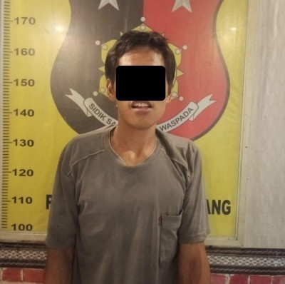 Tim Trabazz Polsek Gunung Megang Tangkap Pelaku Pencurian Buah Sawit.